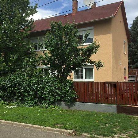 Big Apartman Hajdúszoboszló Buitenkant foto